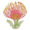 Pincushion Flower embroidery design, 5″ x 7″ hoop size. Perfect for clothing, accessories, and home décor. High-quality and nature-inspired.