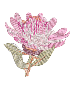 Sugarbush flower embroidery design, 5″ x 7″ hoop size. Perfect for clothing, accessories, and home décor. High-quality and nature-inspired.